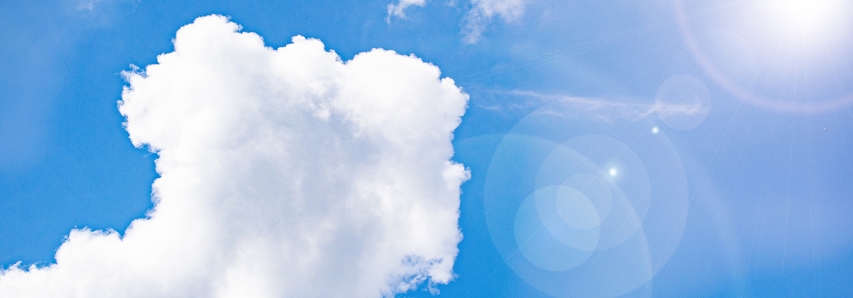 くめもと電気とは